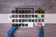 网站流量探针,洞察企业在线销售的策略,利用流量探针洞察企业在线销售策略 网站流量探针,洞察企业在线销售的策略,利用流量探针洞察企业在线销售策略