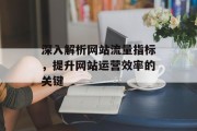 深入解析网站流量指标,提升网站运营效率的关键 深入解析网站流量指标,提升网站运营效率的关键