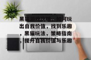 黑猫游戏攻略，如何玩出自我价值，找到乐趣，黑猫玩法，策略指南，提升自我价值与乐趣