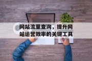 网站流量查询,提升网站运营效率的关键工具 网站流量查询,提升网站运营效率的关键工具
