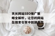 天长网站SEO推广策略全解析,让您的网站在搜索引擎中脱颖而出 天长网站SEO推广策略全解析,让您的网站在搜索引擎中脱颖而出