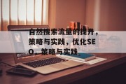 自然搜索流量的提升,策略与实践,优化SEO,策略与实践 自然搜索流量的提升,策略与实践,优化SEO,策略与实践
