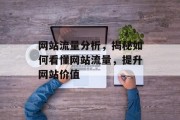 网站流量分析，揭秘如何看懂网站流量，提升网站价值