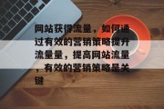 网站获得流量,如何通过有效的营销策略提升流量量,提高网站流量,有效的营销策略是关键 网站获得流量,如何通过有效的营销策略提升流量量,提高网站流量,有效的营销策略是关键