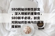 SEO网站诊断性刮宫，深入理解的重要性，SEO新手必读，刮宫对网站的影响与价值深度解析
