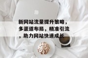 新网站流量提升策略,多渠道布局,精准引流,助力网站快速成长 新网站流量提升策略,多渠道布局,精准引流,助力网站快速成长