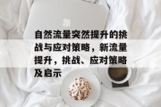自然流量突然提升的挑战与应对策略，新流量提升，挑战、应对策略及启示