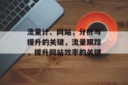 流量计、网站,分析与提升的关键,流量跟踪,提升网站效率的关键 流量计、网站,分析与提升的关键,流量跟踪,提升网站效率的关键