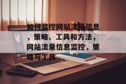 如何监控网站流量信息，策略、工具和方法，网站流量信息监控，策略与工具