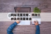 网站流量攻略,揭秘三种高效流量来源 网站流量攻略,揭秘三种高效流量来源