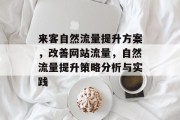来客自然流量提升方案,改善网站流量,自然流量提升策略分析与实践