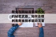 爬虫在网站流量提升中的秘密武器，如何合理利用爬虫技术驱动流量增长