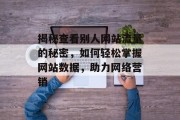 揭秘查看别人网站流量的秘密,如何轻松掌握网站数据,助力网络营销 揭秘查看别人网站流量的秘密,如何轻松掌握网站数据,助力网络营销