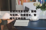 关键词流量提升,策略与实践,流量增长,策略与实践指南 关键词流量提升,策略与实践,流量增长,策略与实践指南