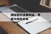 揭秘低价流量网站,诱惑与风险并存 揭秘低价流量网站,诱惑与风险并存