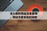 深入解析网站流量查询,揭秘流量背后的秘密 深入解析网站流量查询,揭秘流量背后的秘密