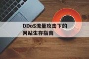DDoS流量攻击下的网站生存指南 DDoS流量攻击下的网站生存指南