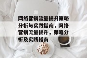 网络营销流量提升策略分析与实践指南，网络营销流量提升，策略分析及实践指南