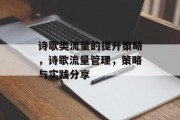 诗歌类流量的提升策略,诗歌流量管理,策略与实践分享 诗歌类流量的提升策略,诗歌流量管理,策略与实践分享