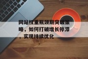 网站权重瓶颈期突破策略，如何打破增长停滞，实现持续优化