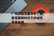 广州网站流量分析,洞察互联网时代下的城市发展脉搏 广州网站流量分析,洞察互联网时代下的城市发展脉搏