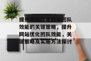提升网站优化技术团队效能的关键策略,提升网站优化团队效能,关键策略及实施方法探讨 提升网站优化技术团队效能的关键策略,提升网站优化团队效能,关键策略及实施方法探讨