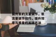 提升泵的流量调节,泵流量调节技巧,提升效率与质量的关键方法 提升泵的流量调节,泵流量调节技巧,提升效率与质量的关键方法