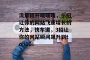 流量提升嗖嗖嗖,一招让你的网站飞速增长的方法,快车道,3招让你的网站瞬间飙升到top10! 流量提升嗖嗖嗖,一招让你的网站飞速增长的方法,快车道,3招让你的网站瞬间飙升到top10!