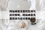网站峰值流量的监测与应对策略,网站峰值流量预测与应对策略分析 网站峰值流量的监测与应对策略,网站峰值流量预测与应对策略分析