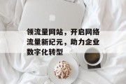 领流量网站,开启网络流量新纪元,助力企业数字化转型 领流量网站,开启网络流量新纪元,助力企业数字化转型