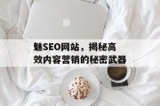魅SEO网站,揭秘高效内容营销的秘密武器 魅SEO网站,揭秘高效内容营销的秘密武器