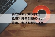 高效SEO,如何提升免费?搜索引擎优化,策略、方法与技巧分享