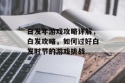 白发年游戏攻略详解，白发攻略，如何过好白发时节的游戏挑战