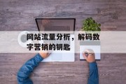 网站流量分析，解码数字营销的钥匙