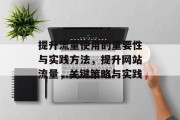 提升流量使用的重要性与实践方法,提升网站流量,关键策略与实践 提升流量使用的重要性与实践方法,提升网站流量,关键策略与实践