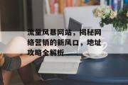 流量风暴网站,揭秘网络营销的新风口,地址攻略全解析 流量风暴网站,揭秘网络营销的新风口,地址攻略全解析
