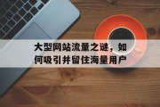 大型网站流量之谜,如何吸引并留住海量用户 大型网站流量之谜,如何吸引并留住海量用户