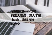 了解游戏husk攻略的五大要点,深入了解 husk,攻略与技巧大全