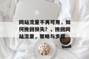 网站流量不再可用，如何挽回损失？，挽回网站流量，策略与步骤