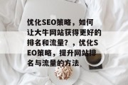 优化SEO策略，如何让大牛网站获得更好的排名和流量？，优化SEO策略，提升网站排名与流量的方法