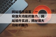 网站插件设置 - 一窥强大功能的魅力，网站插件实战，揭秘强大功能的魅力