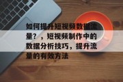 如何提升短视频数据流量?,短视频制作中的数据分析技巧,提升流量的有效方法 如何提升短视频数据流量?,短视频制作中的数据分析技巧,提升流量的有效方法