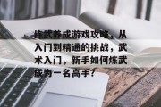 练武养成游戏攻略，从入门到精通的挑战，武术入门，新手如何炼武成为一名高手？