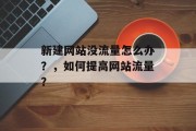 新建网站没流量怎么办？，如何提高网站流量？