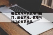 射击游戏中的策略与技巧,射击游戏,策略与技巧的智慧结晶 射击游戏中的策略与技巧,射击游戏,策略与技巧的智慧结晶