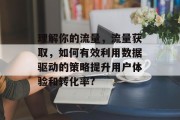 理解你的流量,流量获取,如何有效利用数据驱动的策略提升用户体验和转化率? 理解你的流量,流量获取,如何有效利用数据驱动的策略提升用户体验和转化率?
