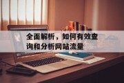 全面解析,如何有效查询和分析网站流量 全面解析,如何有效查询和分析网站流量