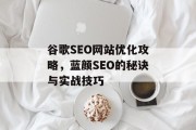 谷歌SEO网站优化攻略,蓝颜SEO的秘诀与实战技巧 谷歌SEO网站优化攻略,蓝颜SEO的秘诀与实战技巧