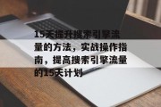 15天提升搜索引擎流量的方法,实战操作指南,提高搜索引擎流量的15天计划