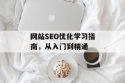 网站SEO优化学习指南,从入门到精通 网站SEO优化学习指南,从入门到精通
